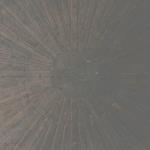 Selva Oscura (Coloured Vinyl)