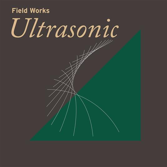 Ultrasonic - Vinile LP di Field Works