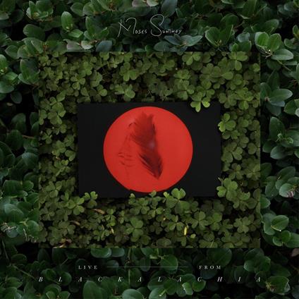 Live from Blackalachia (Clear Green Vinyl) - Vinile LP di Moses Sumney