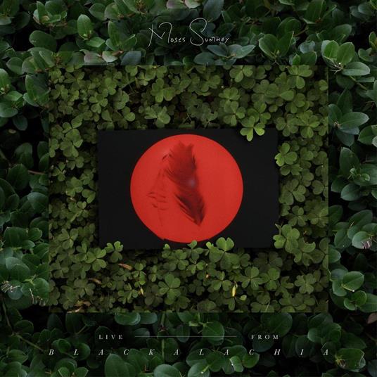 Live from Blackalachia (Clear Green Vinyl) - Vinile LP di Moses Sumney