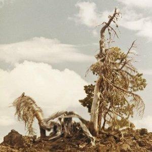 Steep Formations - Vinile LP di People of the North