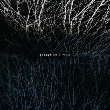 Aerial Roots - Vinile LP di CJ Boyd