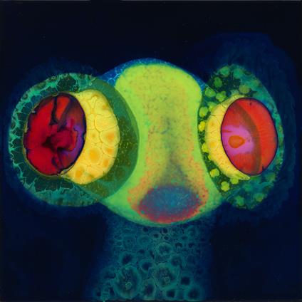 Sorcs 80 - Vinile LP di Osees