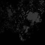 Constellation Ritualistic Altars. Demo(N)S