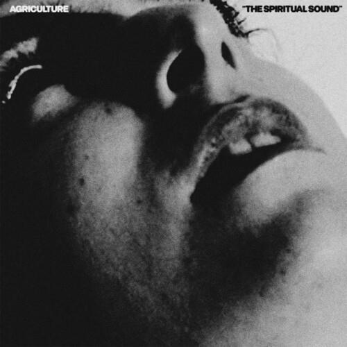Spiritual Sound (Color Vinyl) - Vinile LP di Agriculture