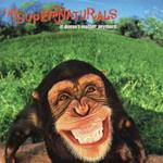 It Doesnt Matter Anymore - The Supernaturals