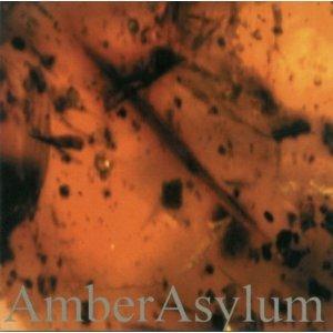 Frozen in Amber - CD Audio di Amber Asylum