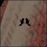 Every Red Heart Shines Toward the Red Sun - CD Audio di Red Sparowes