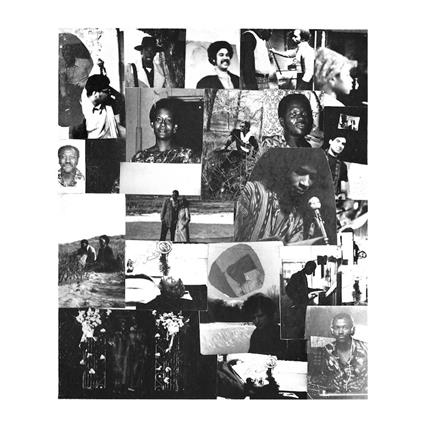 Begining of a New Birth - Vinile LP di World's Experience Orchestra
