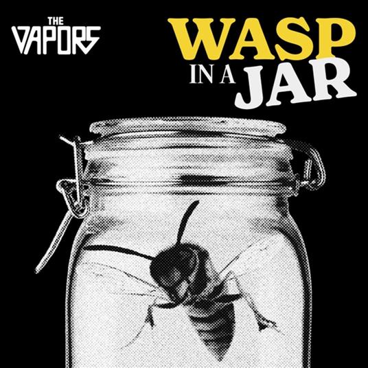 Wasp In A Jar - Vinile LP di Vapors