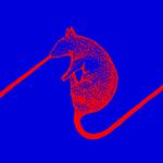 Rats Don't Eat Synthesizers ( + MP3 Download)