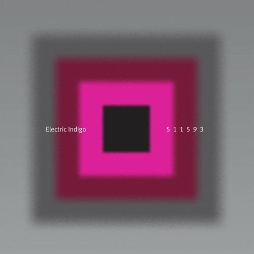 511593 - Vinile LP di Electric Indigo
