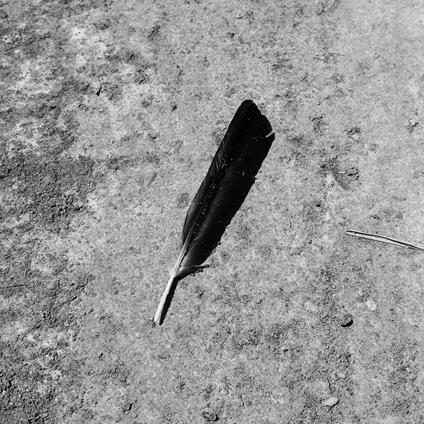 Existenz - Vinile LP di Function