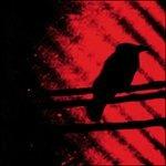 Born Into Trouble - Vinile LP di Silver Mt. Zion Memorial Orchestra