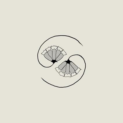 GD's Pee at State's End! - CD Audio di Godspeed You Black Emperor