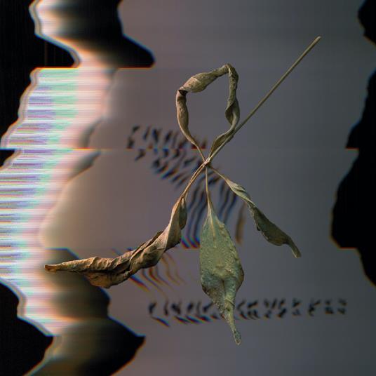Trill Scan - Vinile LP di T. Gowdy