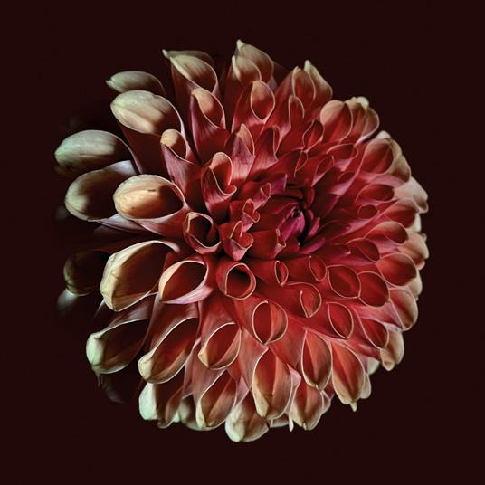 Unfolding - CD Audio di Jessica Moss