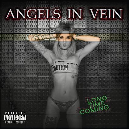 Angels In Vein - Long Time Coming - CD Audio