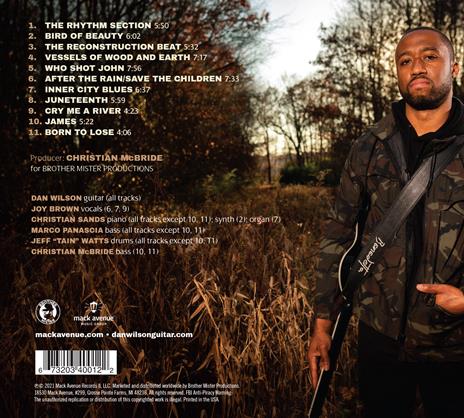 Vessels of Wood and Earth - CD Audio di Dan Wilson - 2