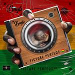 Picture Perfect