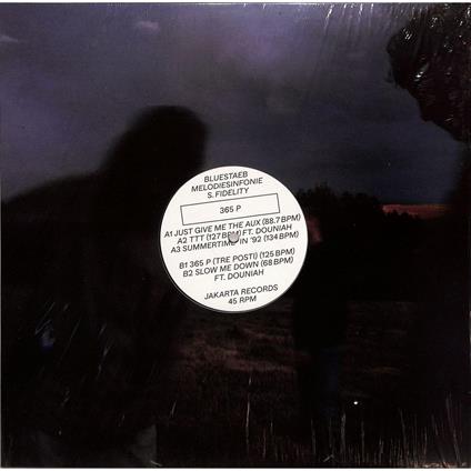 365 P (with Melodiesinfonie & S. Fidelity) - Vinile LP di Bluestaeb