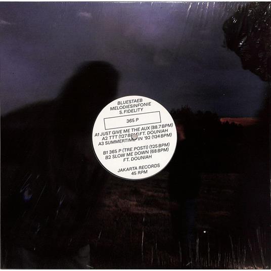 365 P (with Melodiesinfonie & S. Fidelity) - Vinile LP di Bluestaeb