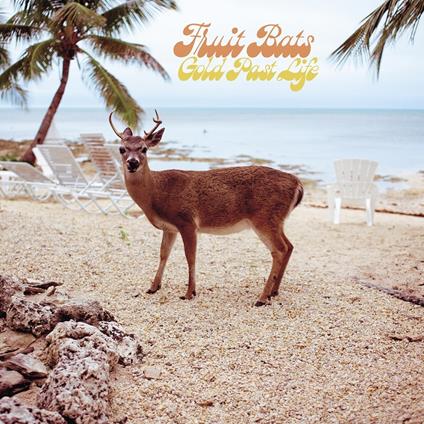 Gold Past Life - CD Audio di Fruit Bats