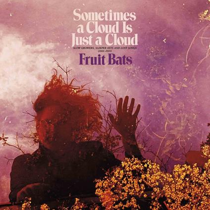 Sometimes a Cloud Is Just a Cloud. Slow Growers... - Vinile LP di Fruit Bats