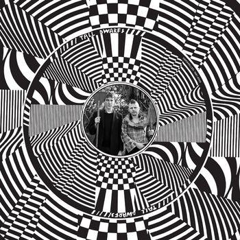 Unravelled 1981-2002 - CD Audio di Tall Dwarfs