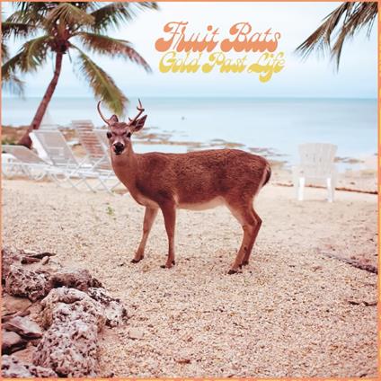 Baby Man - Vinile LP di Fruit Bats