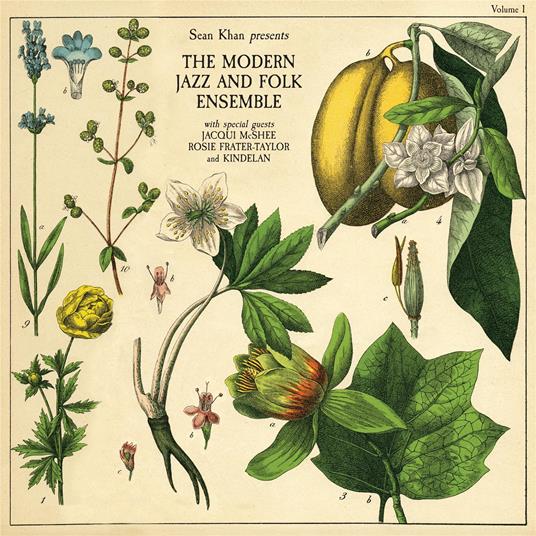 Sean Khan presents The Modern Folk & Jazz Ensemble - Vinile LP di Sean Khan