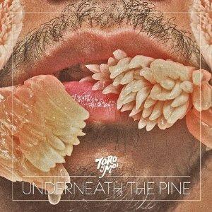 Underneath the Pine - CD Audio di Toro y Moy