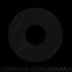 Audumla