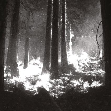 Undergangen - CD Audio di Den Sorte Død