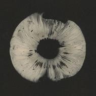 Cycles II (20th Anniversary Sampler)