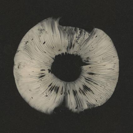 Cycles II (20th Anniversary Sampler) - CD Audio