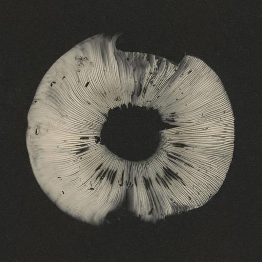 Cycles II (20th Anniversary Sampler) - CD Audio