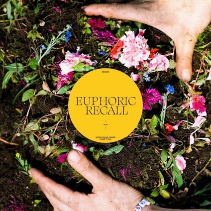 Euphoric Recall - CD Audio di Braids