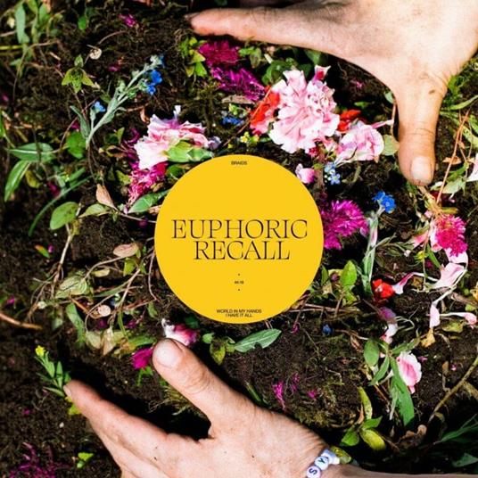 Euphoric Recall - CD Audio di Braids