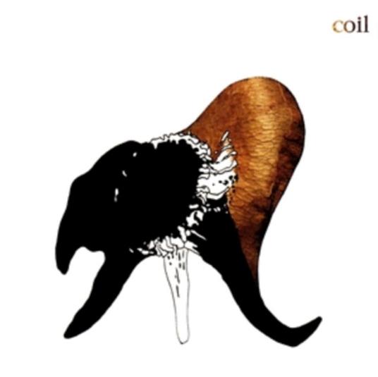 Black Antlers (Clear Vinyl) - Vinile LP di Coil