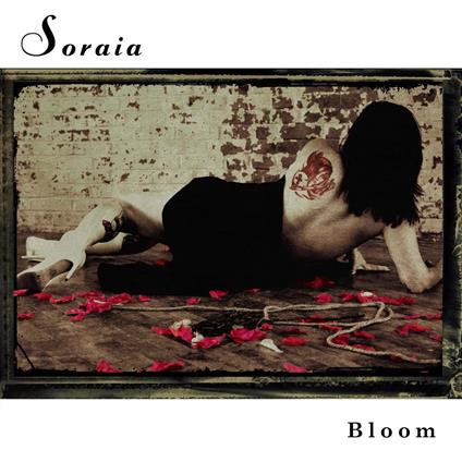 Bloom - CD Audio di Soraia