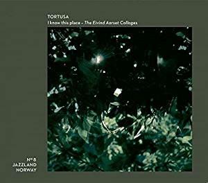 I Know This Place. The Aarset Collages - CD Audio di Tortusa