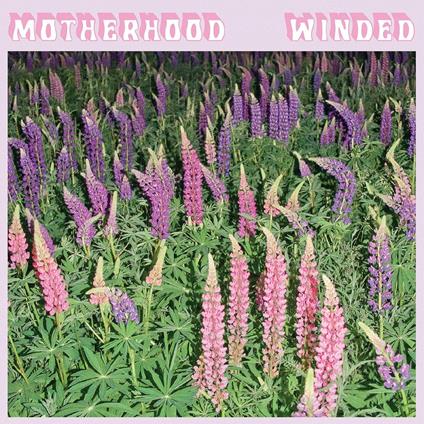 Winded - CD Audio di Motherhood
