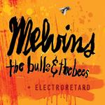 The Bulls & The Bees Electroretard