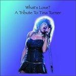 Tina Turner Tribute - What's Love? - CD Audio