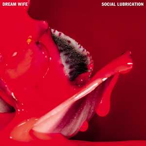 Vinile Social Lubrication (Deep Red Vinyl) Dream Wife