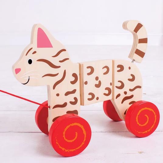 Gatto Trainabile - 2