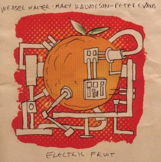 Electric Fruit - CD Audio di Mary Halvorson,Peter Evans,Weasel Walter