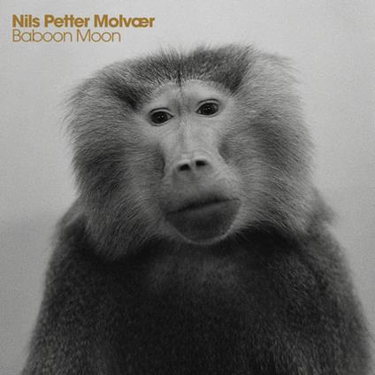 Baboon Moon - CD Audio di Nils Petter Molvaer