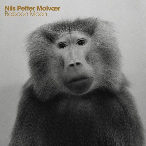 Baboon Moon - CD Audio di Nils Petter Molvaer